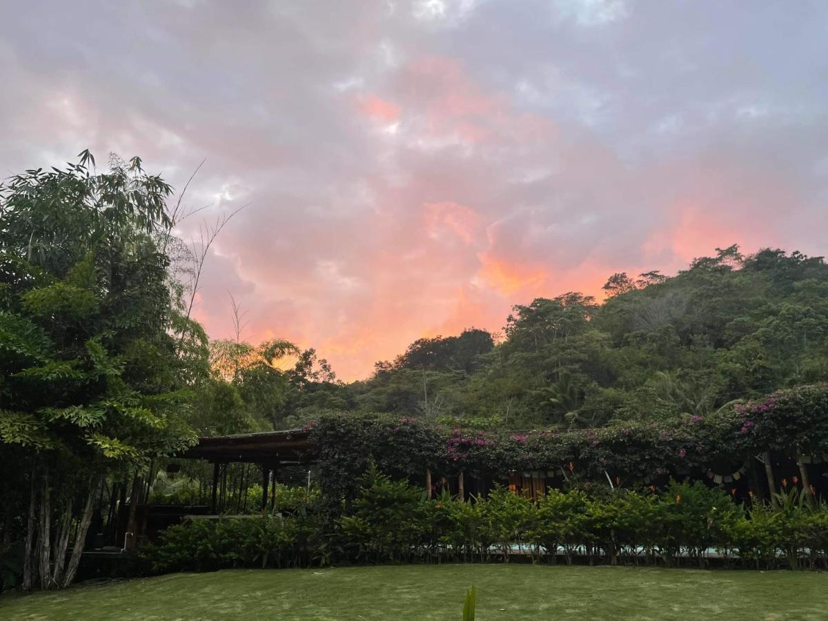 Soul Sync Sanctuary Formally Hacienda La Moringa Διαμέρισμα Playa Hermosa  Εξωτερικό φωτογραφία