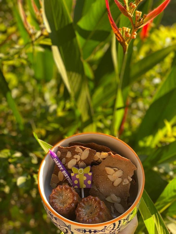 Soul Sync Sanctuary Formally Hacienda La Moringa Διαμέρισμα Playa Hermosa  Εξωτερικό φωτογραφία
